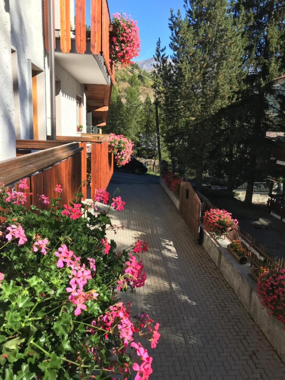 Hotel La Nigritella Bardonecchia Esterno foto